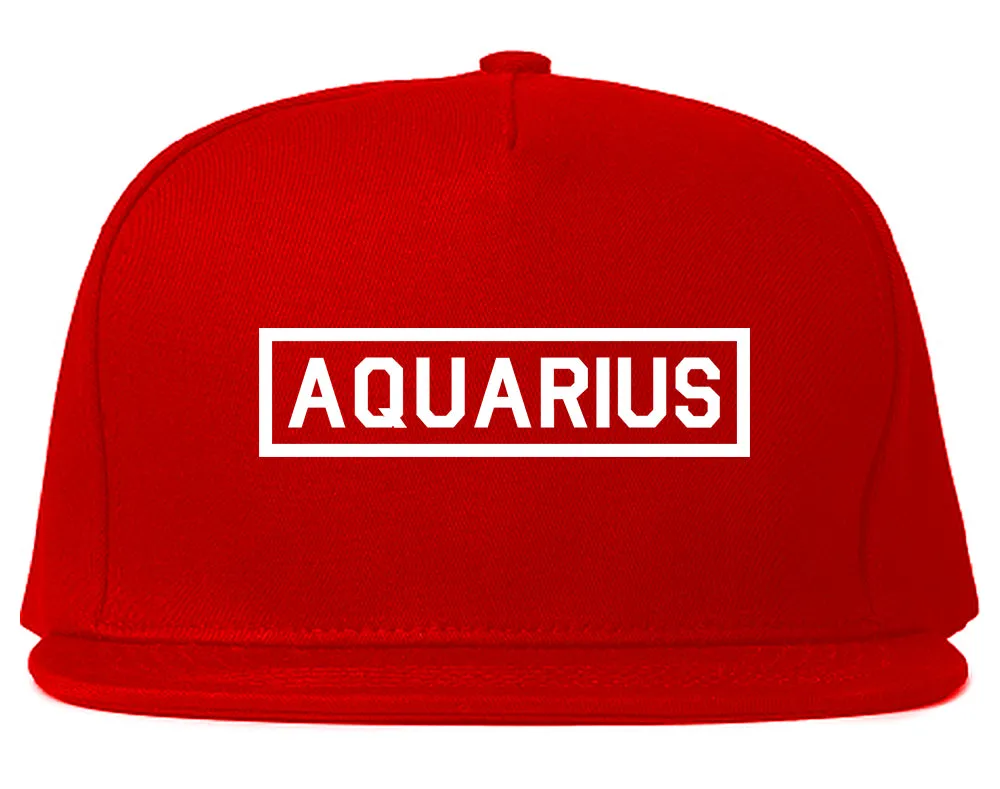 Aquarius Horoscope Sign Mens Snapback Hat