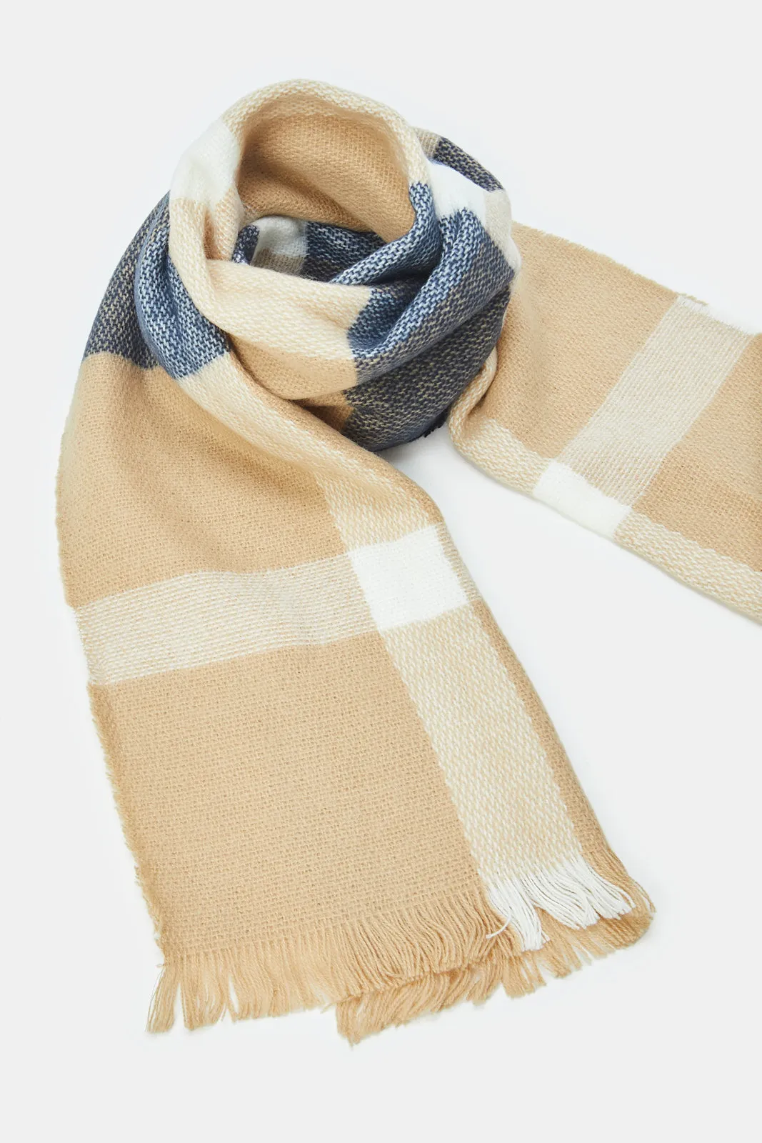 Men Navy And Beige Embellished Scarf