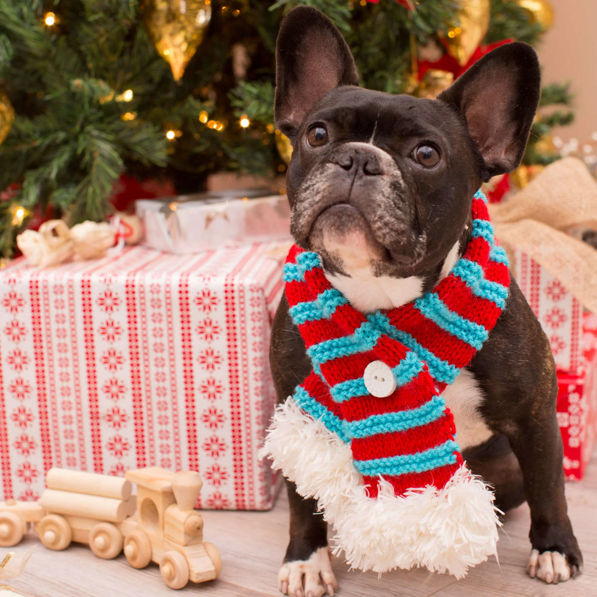 Red Heart Knit Stylish Pet Scarf