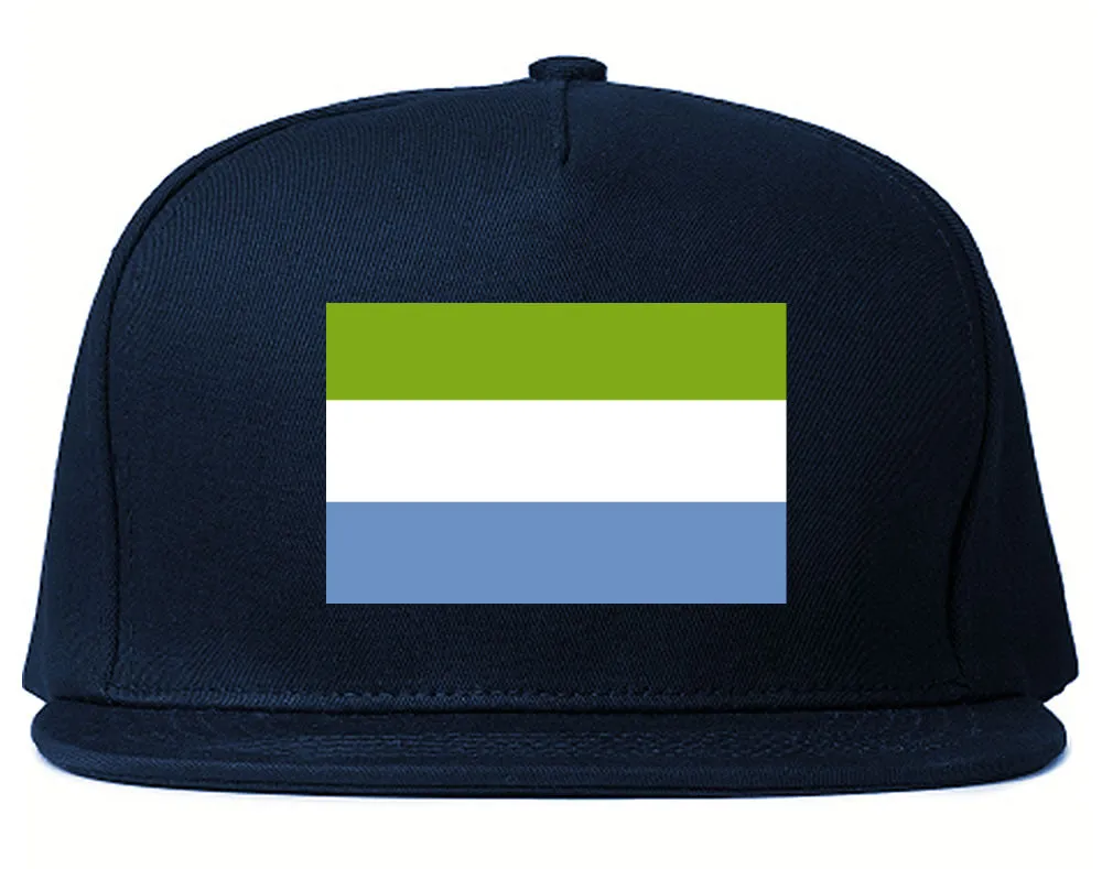 Sierra Leone Flag Country Printed Snapback Hat Cap